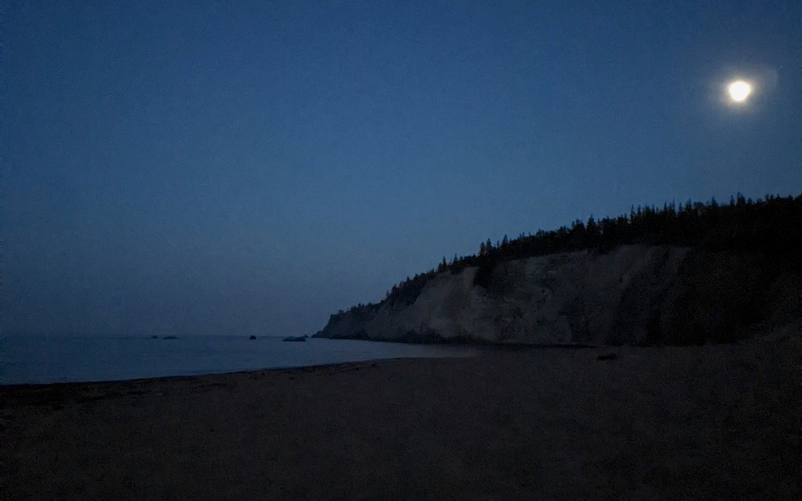 Moonlit coast